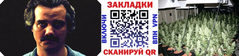Как найти наркотики Гурьевск A PVP  omg рабочий сайт  МДМА  Каннабис  Меф  Псилоцибиновые грибы  COCAIN 