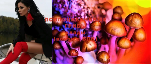 крисы Алексин
