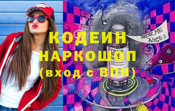 крисы Алексин