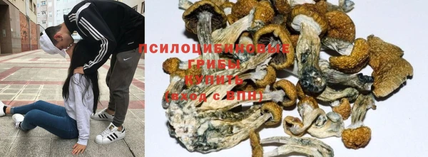трава Алексеевка