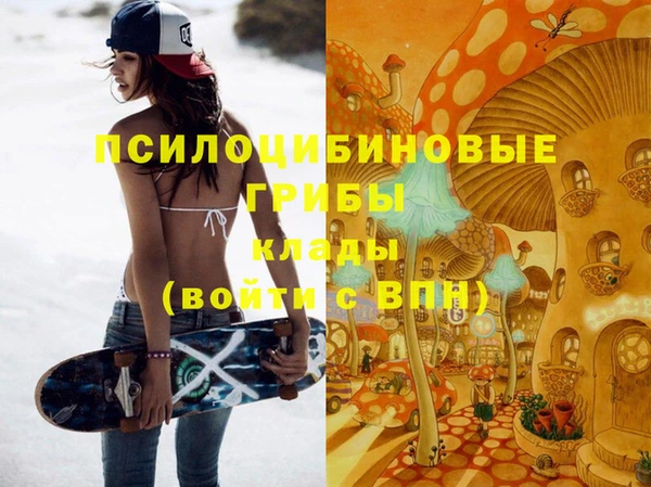 шишки Алзамай