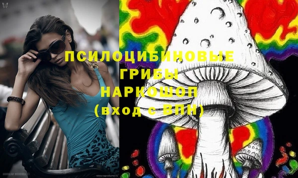 шишки Алзамай