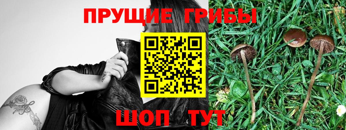 Галлюциногенные грибы Magic Shrooms Гурьевск