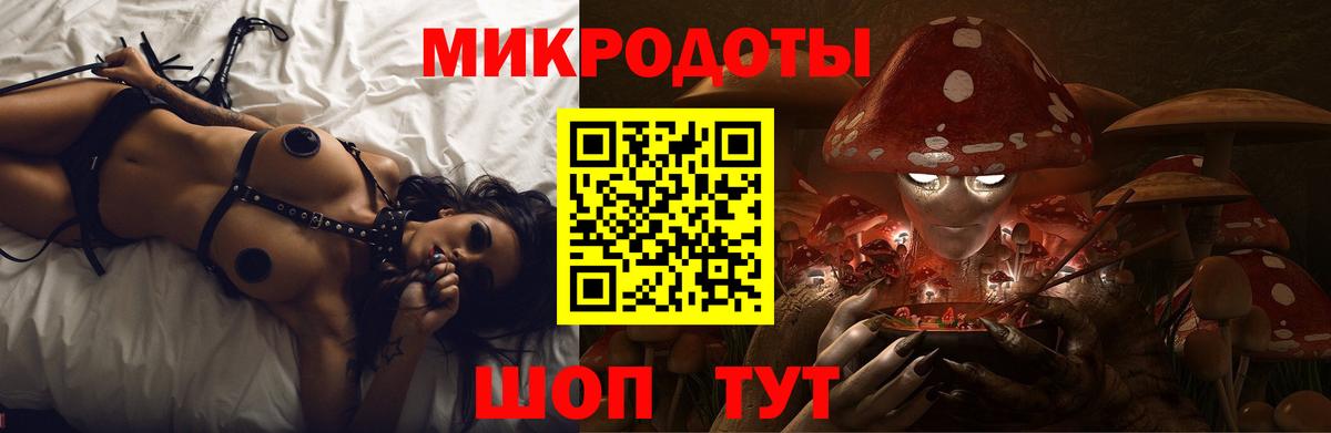 Гурьевск  Галлюциногенные грибы Psilocybe  Вход с VPN  Псилоцибиновые грибы GOLDEN TEACHER 
