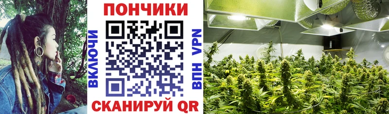 Бошки марихуана White Widow  Гурьевск 